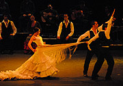 Bolero Flamenco vom 3.-13.08.2006 im Prinzregententheater (Foto: Ingrid Grossmann))